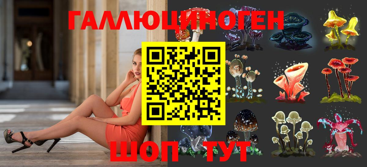 Галлюциногенные грибы Cubensis Конаково