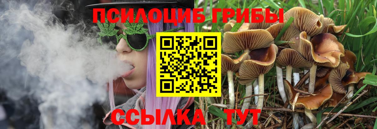 Псилоцибиновые грибы Psilocybe  Вход с VPN  Конаково 